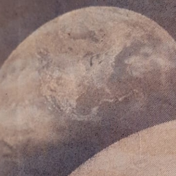 Meet your Posher, Luis - Picture 1 of 1